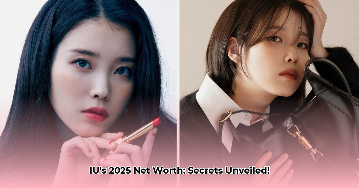 iu-net-worth